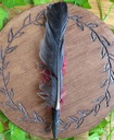Plume Chaman